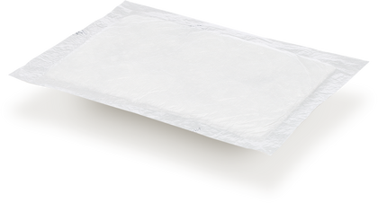 Absorbent Dry Rock Pad Loose 2000/Pack, 3.5” x 6”
