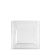 Plastic Square Clear Dinner Plates Splendid Collection