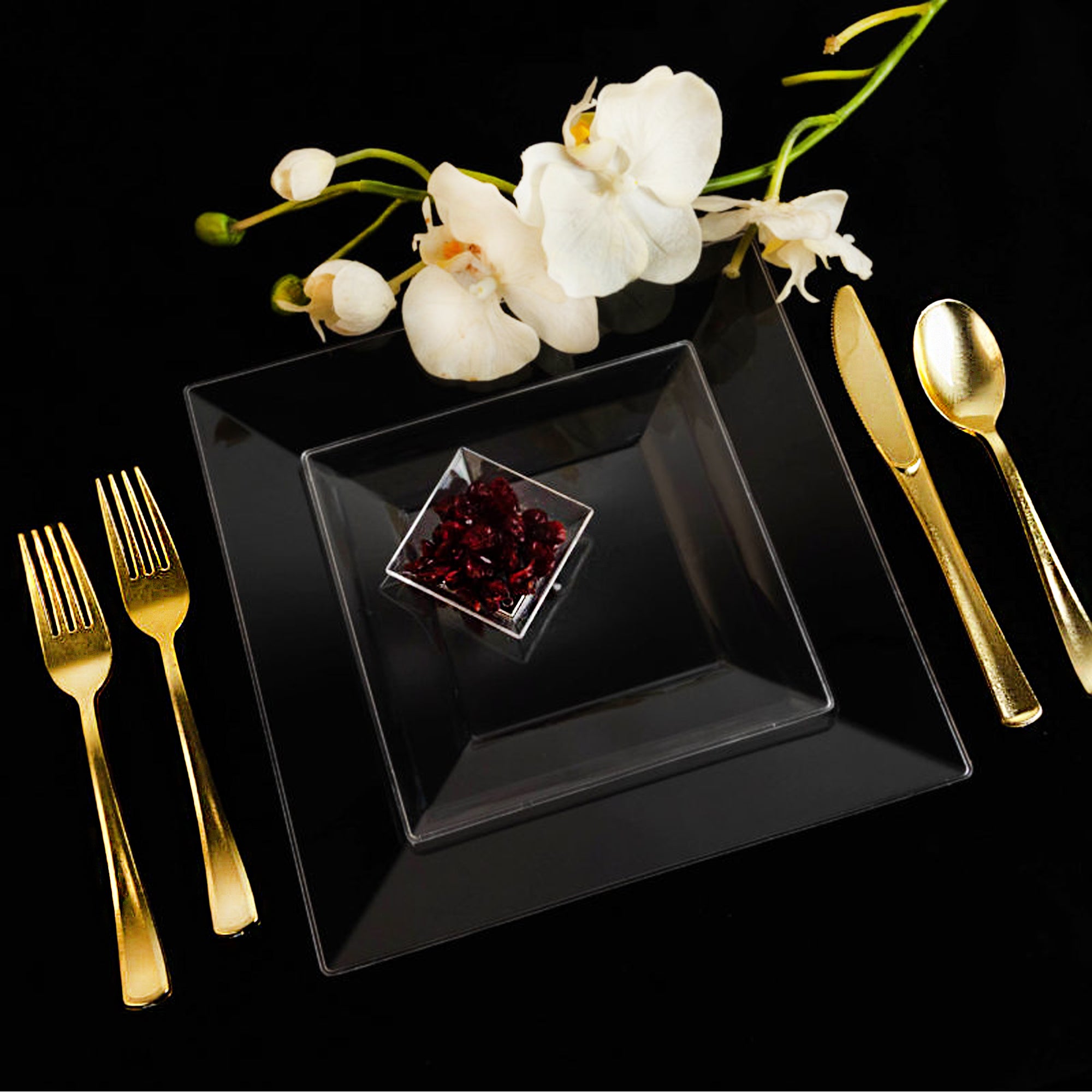 Plastic Square Clear Dinner Plates Splendid Collection