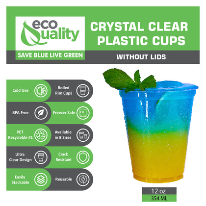 12oz Disposable Pet Clear Plastic Smoothie Cups