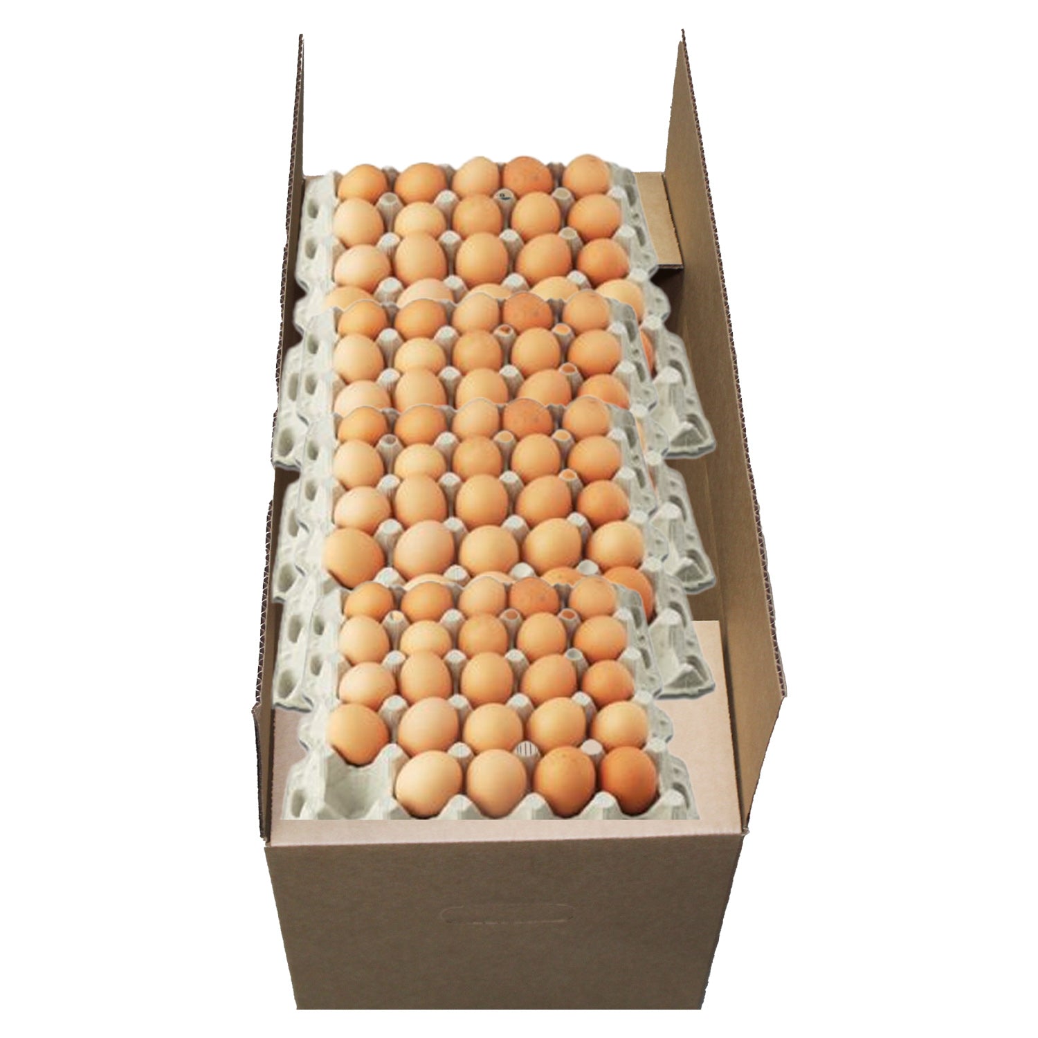 Corrugated Carboard Export Egg Boxes with Handles ECT32 Fits 30 Dozen Eggs