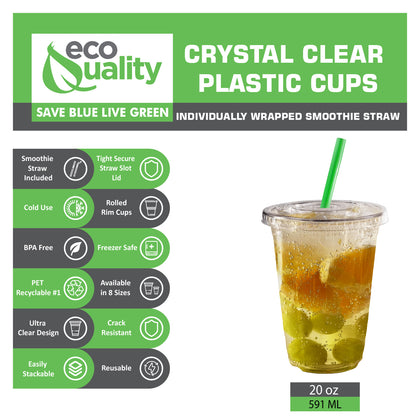 20oz Disposable Pet Clear Plastic Smoothie Cups with Clear Flat Lids and Color Straws
