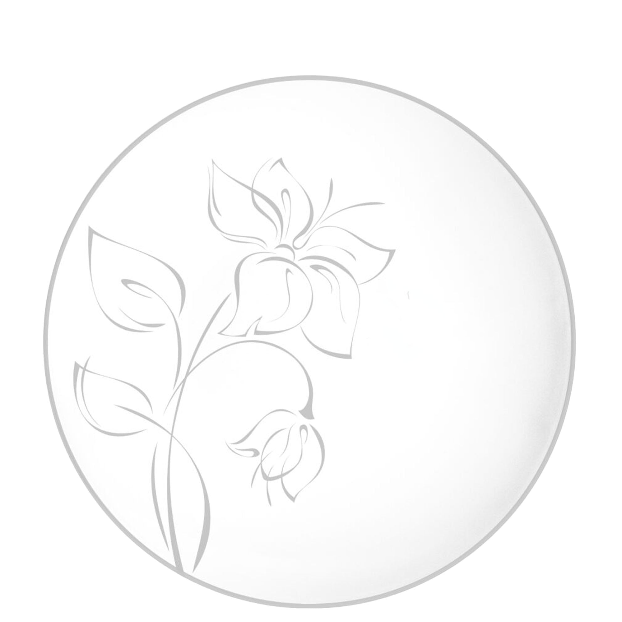 White Plastic Plates Silver Floral Collection