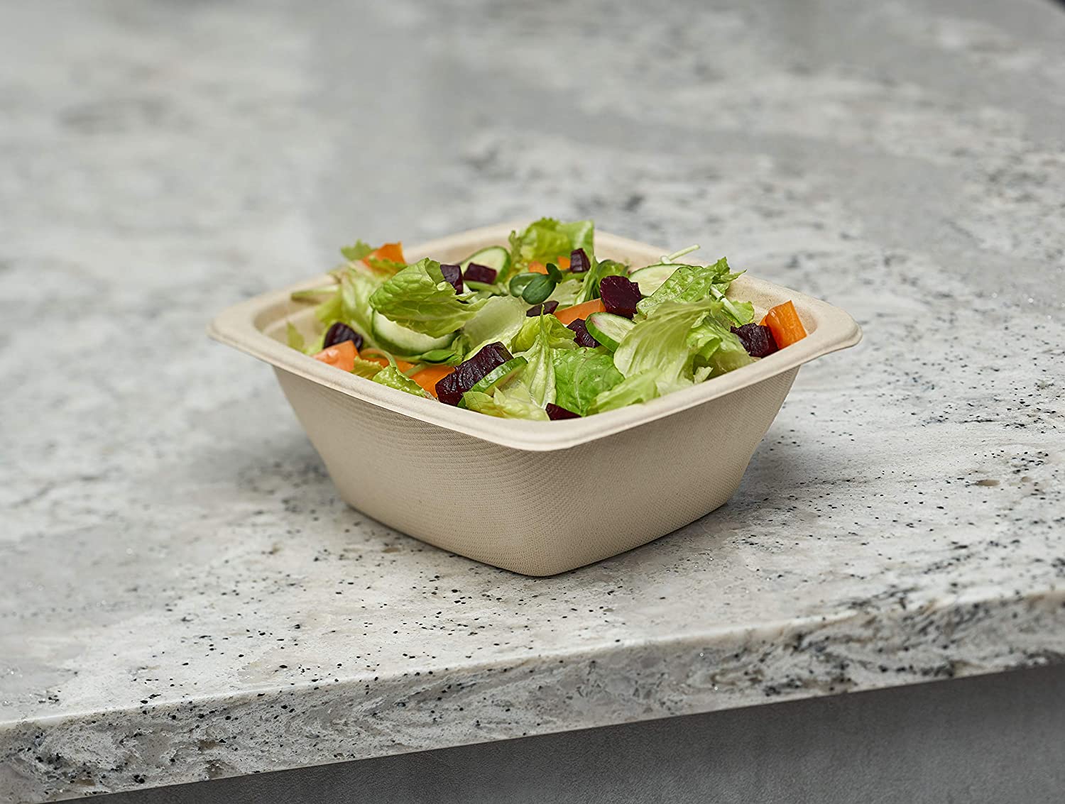 Eco Friendly Disposable Square Bowls Compostable Container
