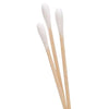 Wooden Cotton Swabs (600 Count) - Biodegradable Cotton Buds, Dual Cotton Tipped Eco Friendly, Made with 100% Wood Great for Makeup, Ears, Cleaning